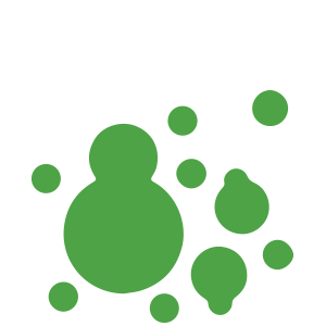 Mold Removal Services