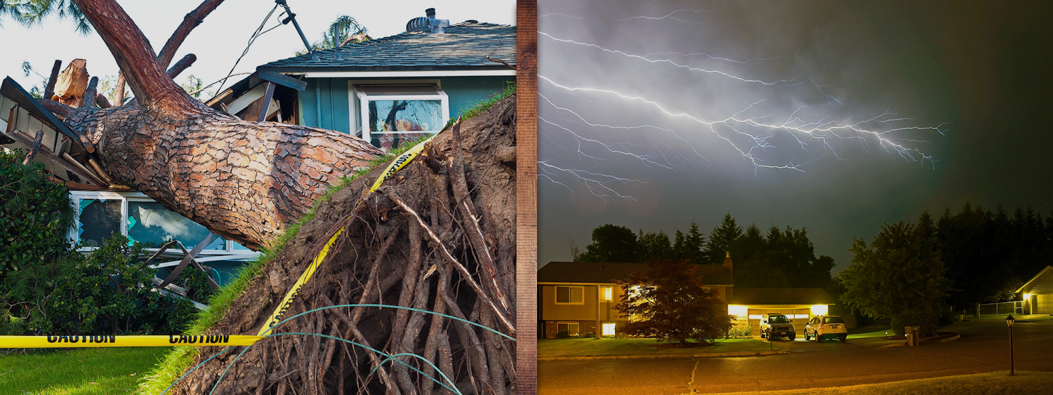Storm-Damage-Fallen-Tree-Crushed-House-Lightning-2