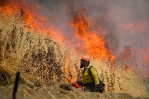 Utah County Wildfires