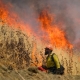 Utah County Wildfires