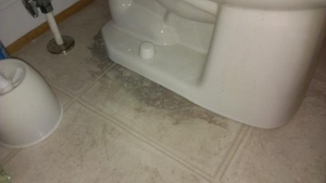 leaking toilet