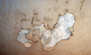 blistering paint