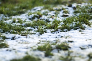 snow on the grass brings back the winter funk