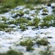 snow on the grass brings back the winter funk