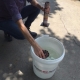 fireworks disposal