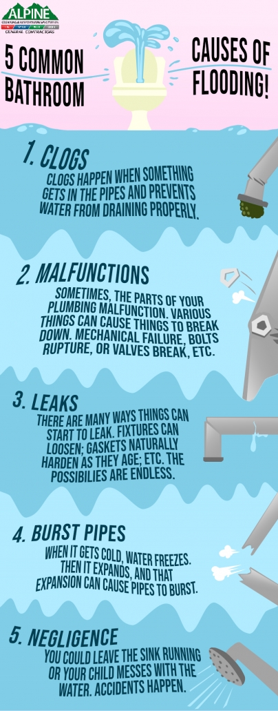 infographic about common causes of bathroom flooding