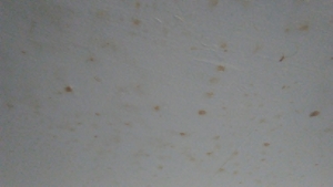 water stains caused by bad ventilation