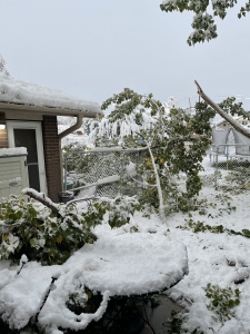 storm damage from a sudden snowstorm