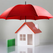 Home Insurance, Disaster Recovery